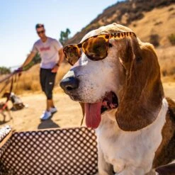 Goodr "Bosley's Basset Hound Dreams' -Hoka Sales Store Bosley s Basset Hound Dreams lifestyle 1586533051