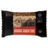 Torq Explore Flapjack - Organic Ginger Cake